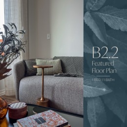 Instagram post from @thebrookliner on October 15, 2024 00:00:00am